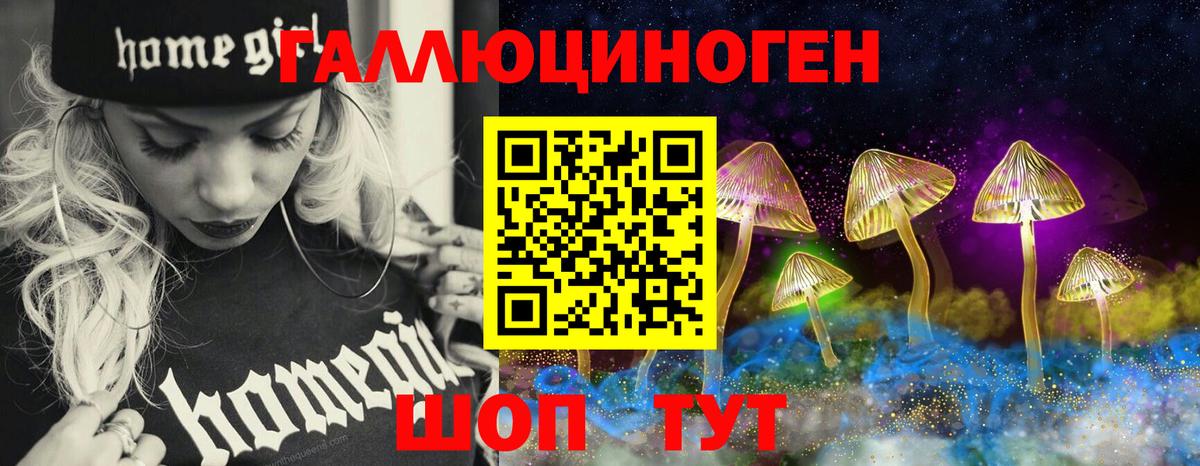 Галлюциногенные грибы Psilocybe  Вход с VPN  Трёхгорный 